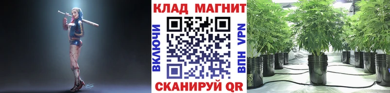 Где купить наркоту Кинешма Каннабис МЕФ COCAIN Гашиш