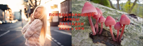 mix Няндома