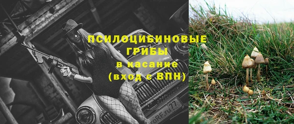 крисы Нягань