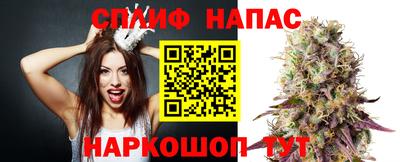 гидропоника Берёзовский