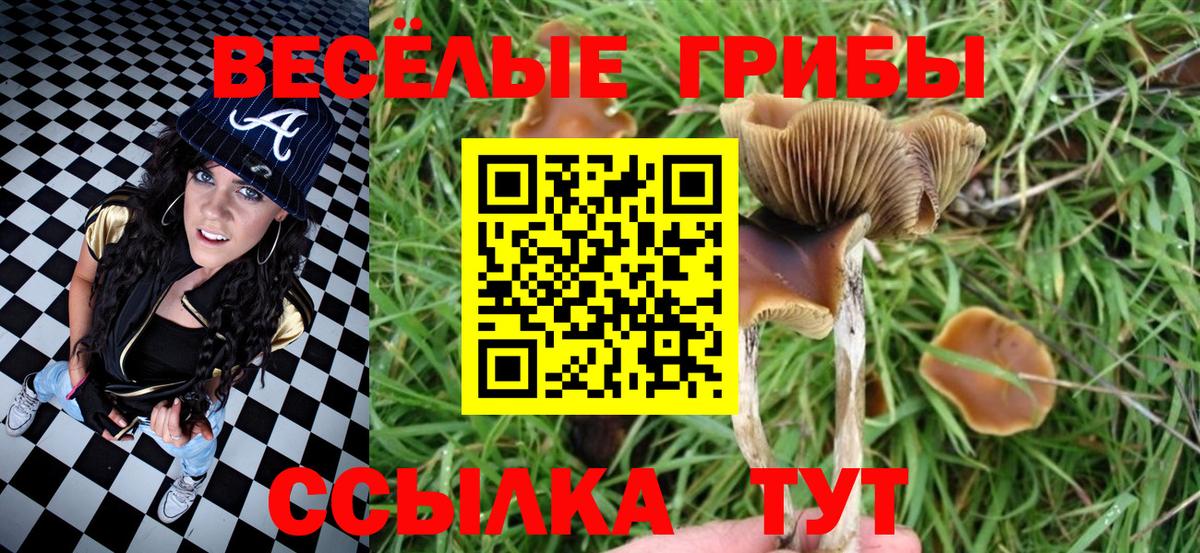 Галлюциногенные грибы ЛСД  Галлюциногенные грибы MAGIC MUSHROOMS  Кинешма 
