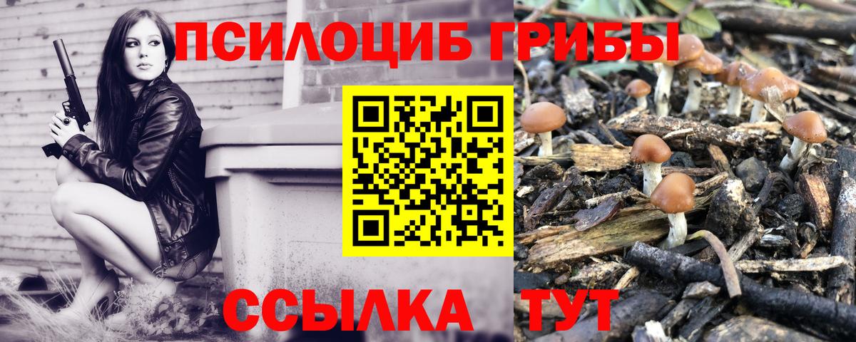 Галлюциногенные грибы Psilocybine cubensis Кинешма