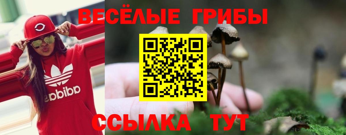 Псилоцибиновые грибы мицелий  Псилоцибиновые грибы Magic Shrooms  Вход с VPN  Кинешма 